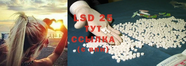 прущие грибы Покров