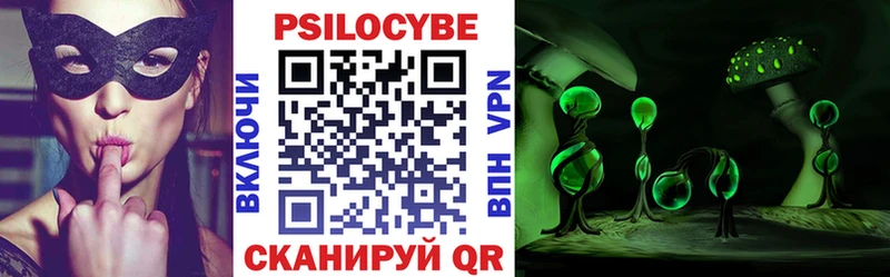 Псилоцибиновые грибы мицелий  Новый Оскол 
