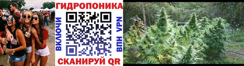 Конопля план Новый Оскол